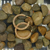 Pink Gem Hoop Earrings - Additional Image